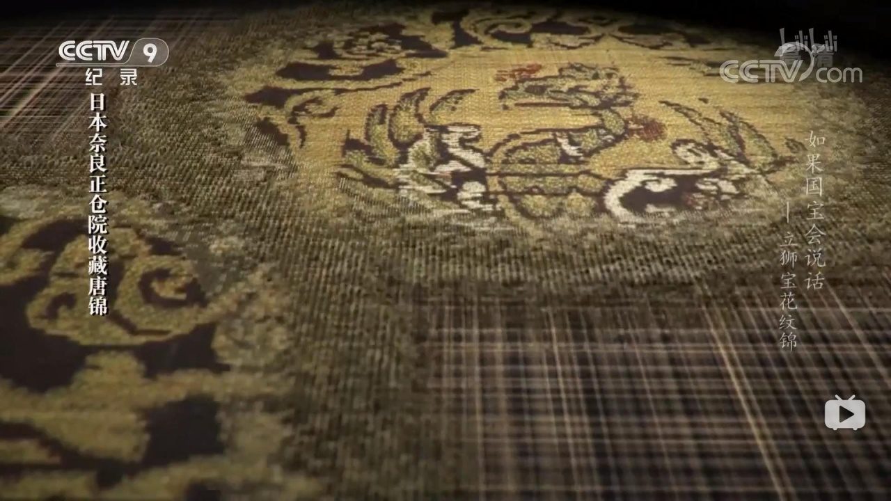 《如果国宝会说话 — 立狮宝花纹锦》——安戈力文化